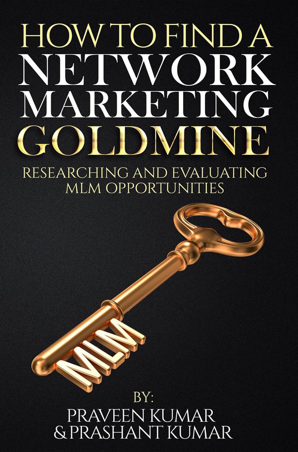 Big bigCover of How to Find a Network Marketing Goldmine