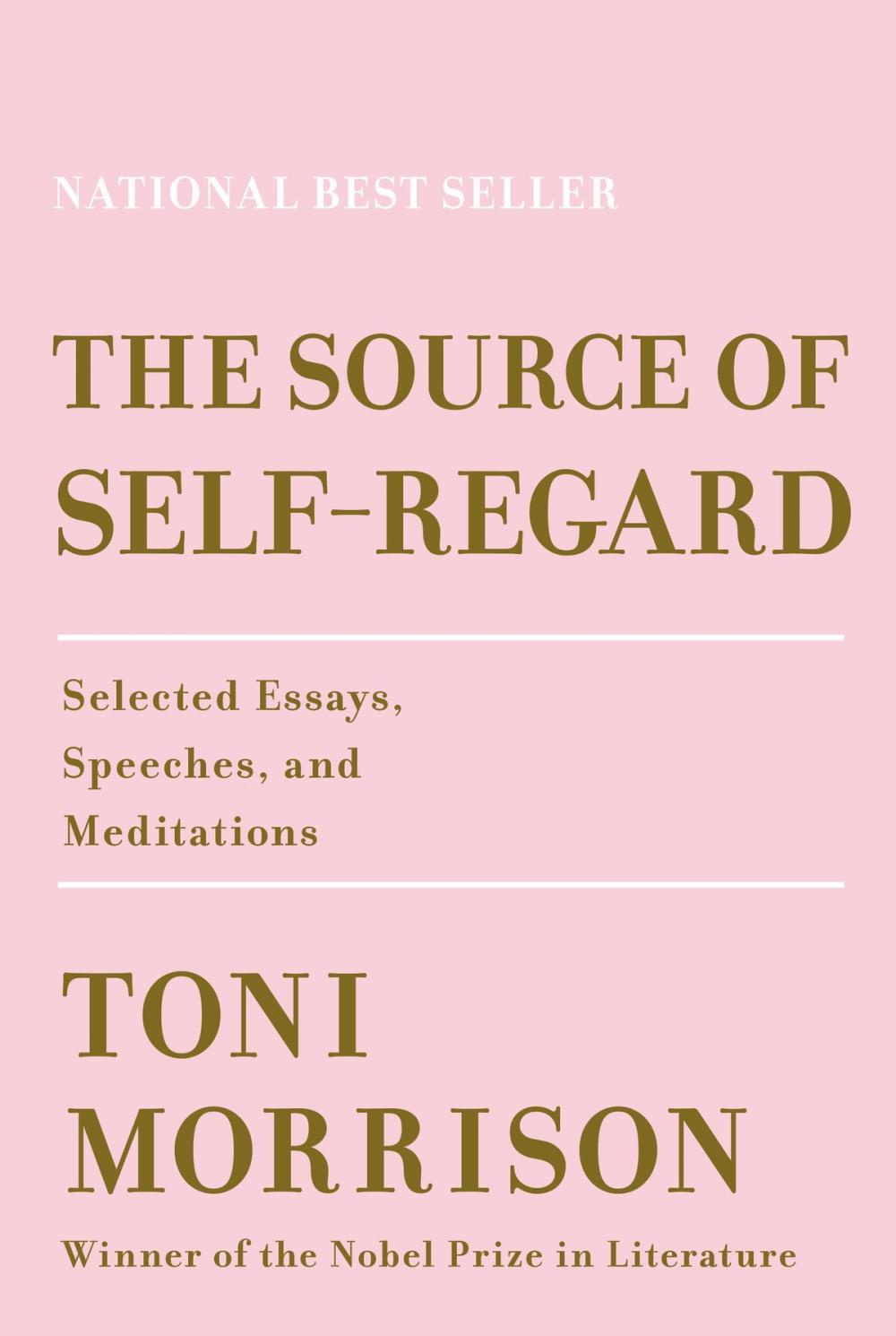 Big bigCover of The Source of Self-Regard