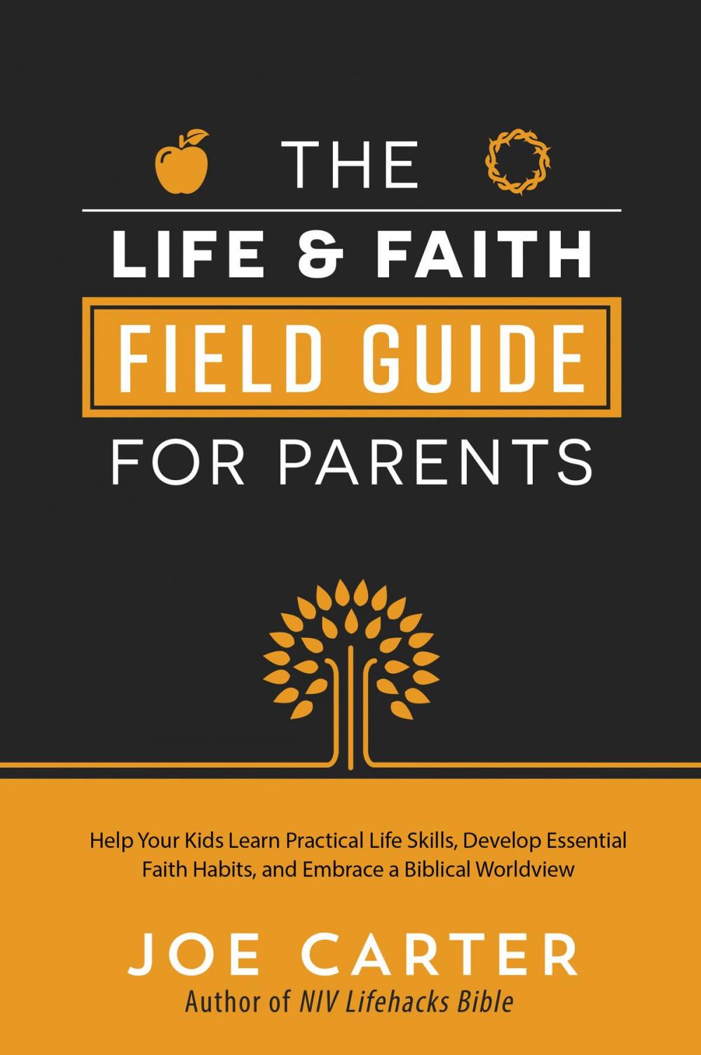 Big bigCover of The Life and Faith Field Guide for Parents