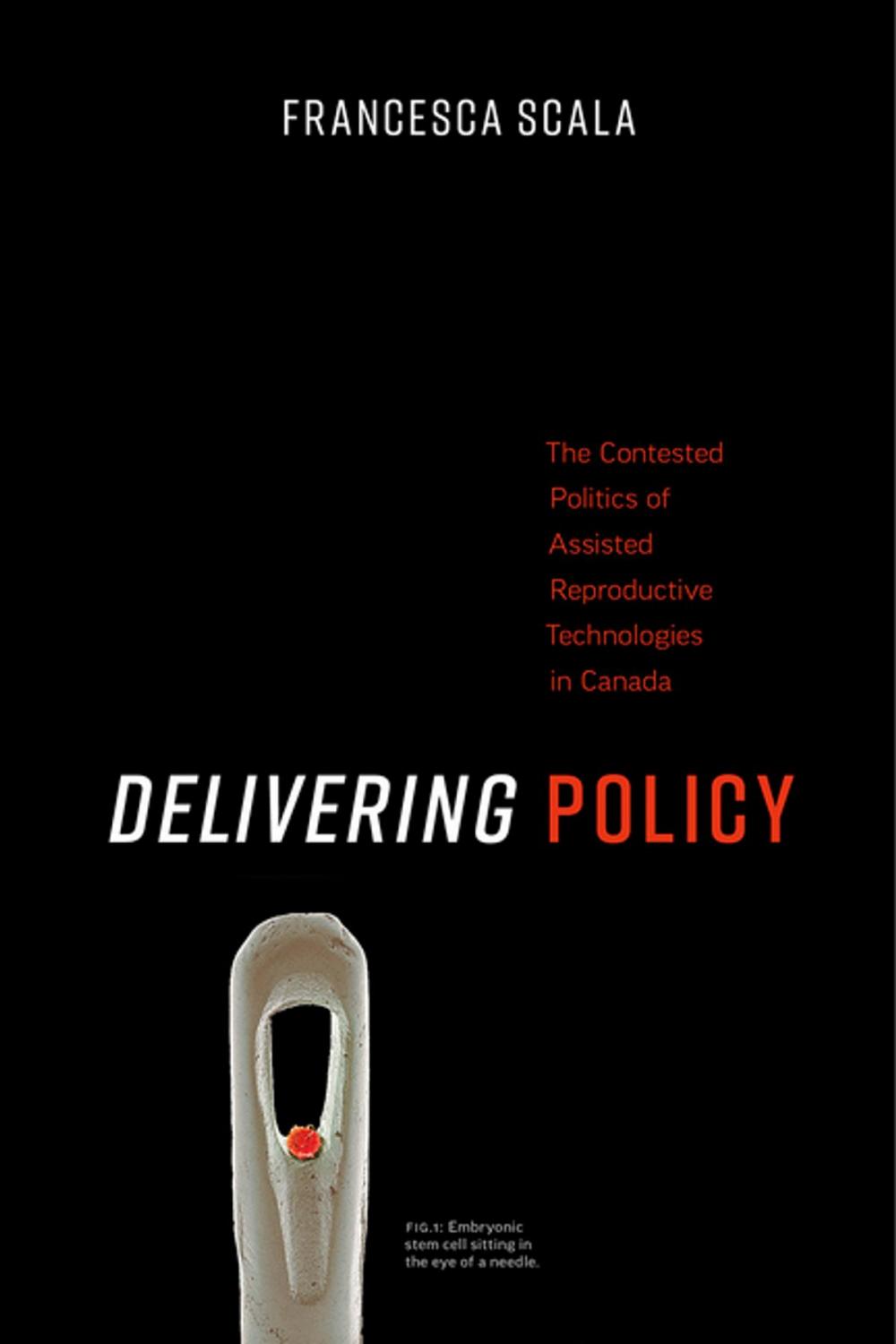 Big bigCover of Delivering Policy