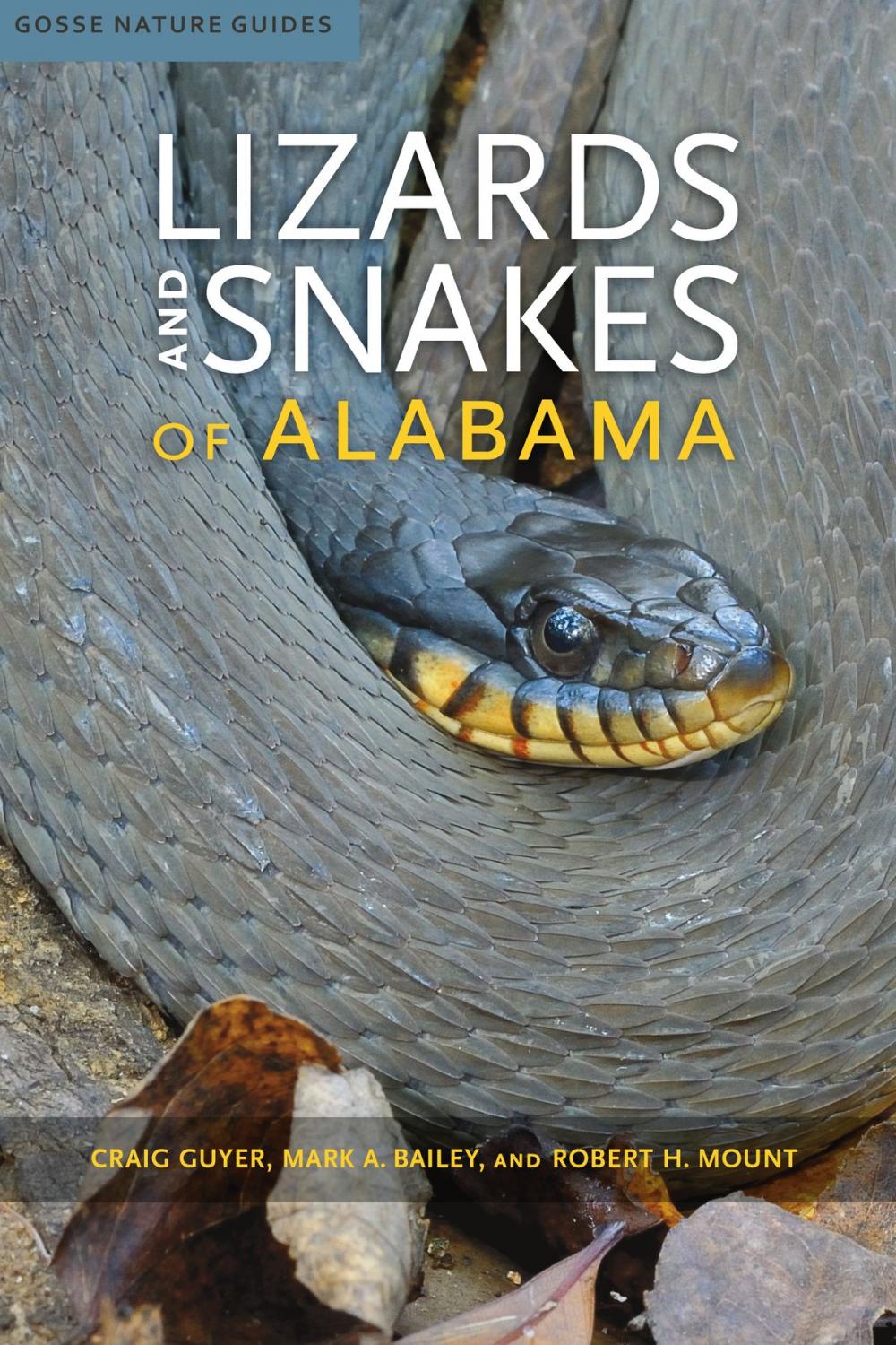 Big bigCover of Lizards and Snakes of Alabama