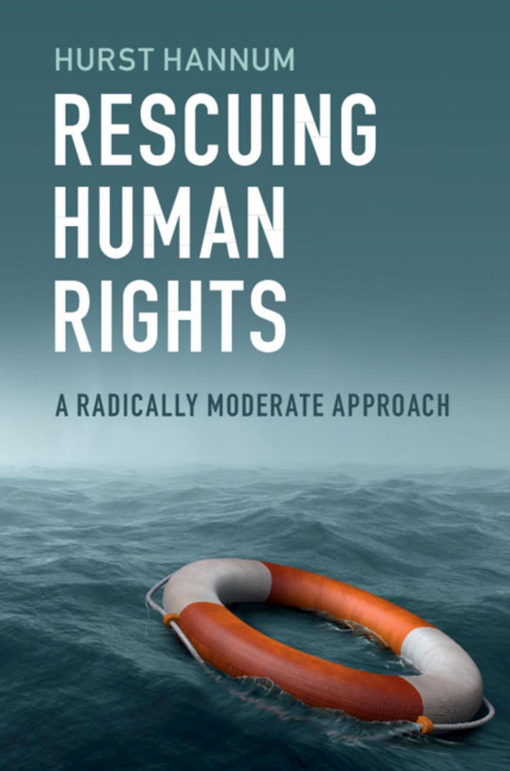 Big bigCover of Rescuing Human Rights