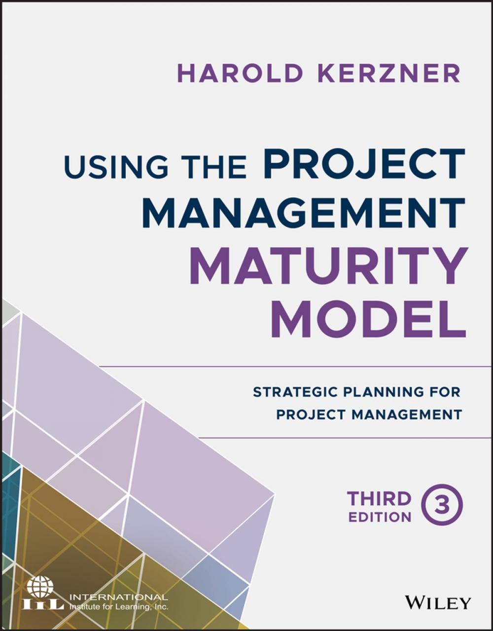 Big bigCover of Using the Project Management Maturity Model