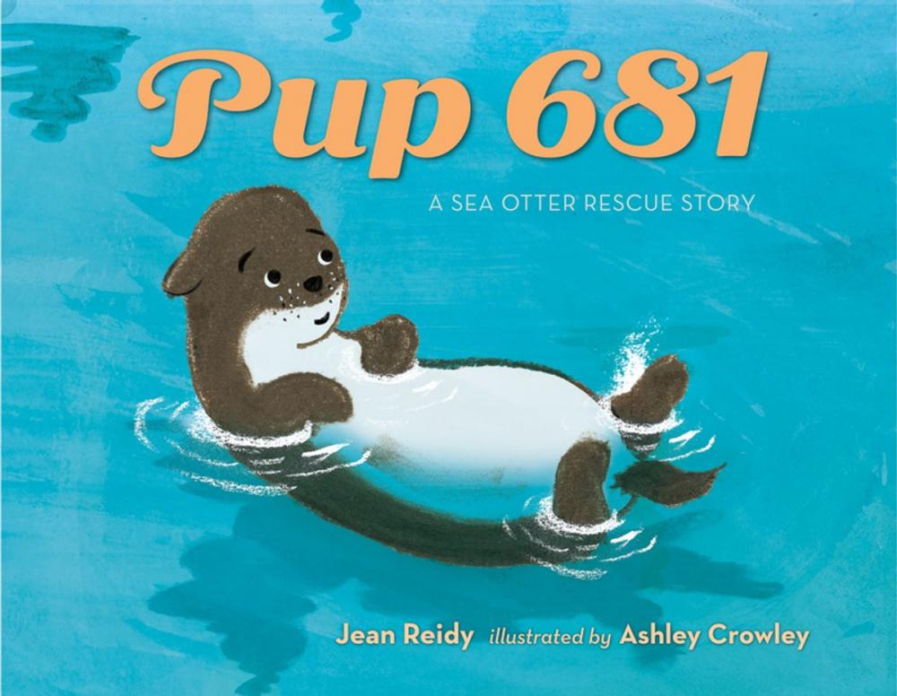 Big bigCover of Pup 681