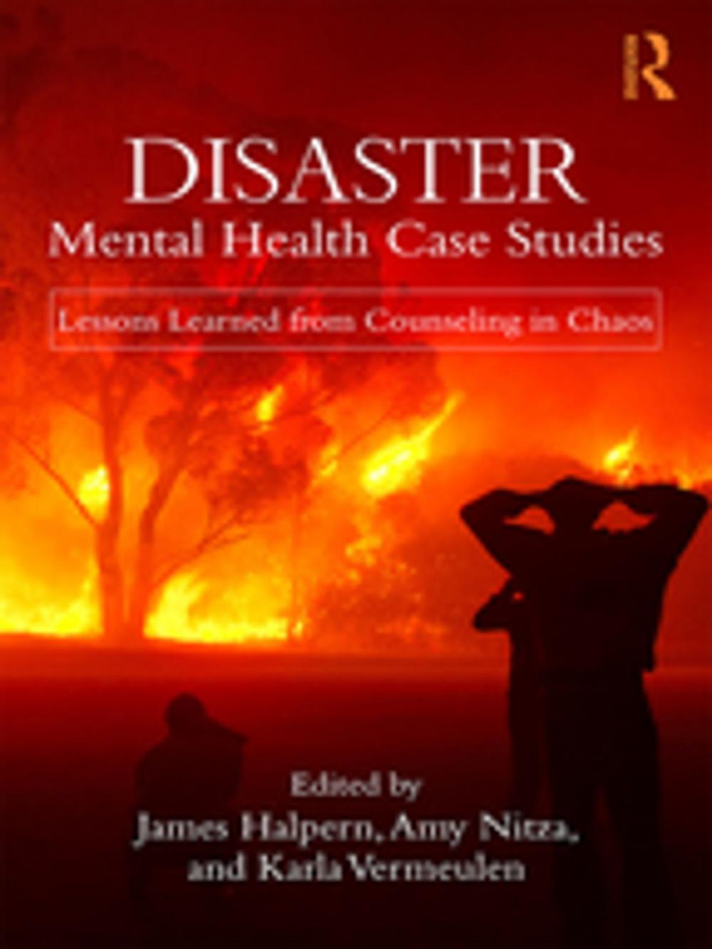 Big bigCover of Disaster Mental Health Case Studies