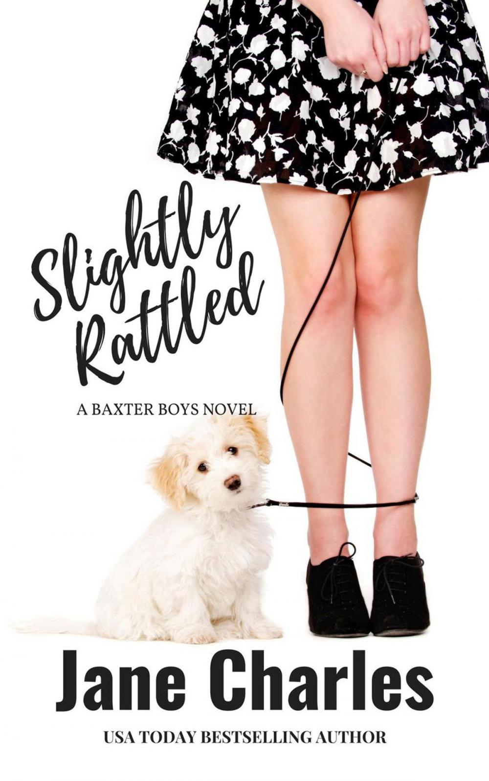 Big bigCover of Slightly Rattled, A Second Epilogue