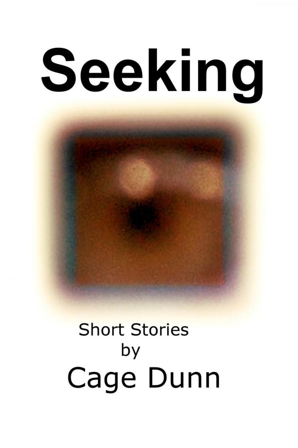 Big bigCover of Seeking: Short Stories