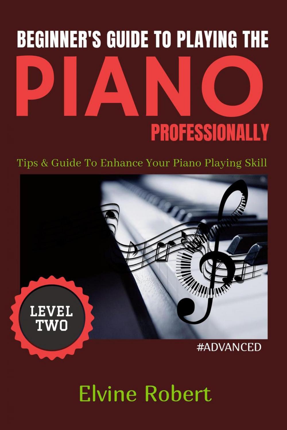 Big bigCover of Beginner's Guide to Playing the Piano Professionally