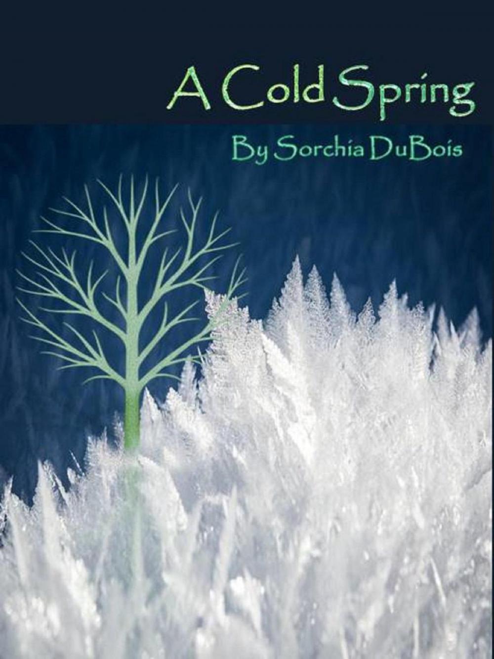 Big bigCover of A Cold Spring