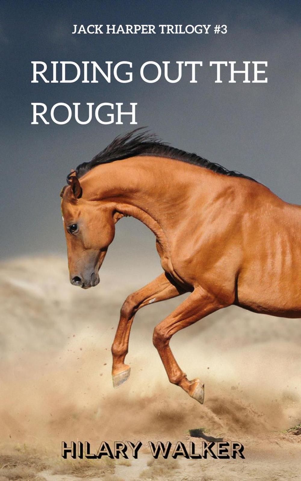 Big bigCover of Riding Out the Rough