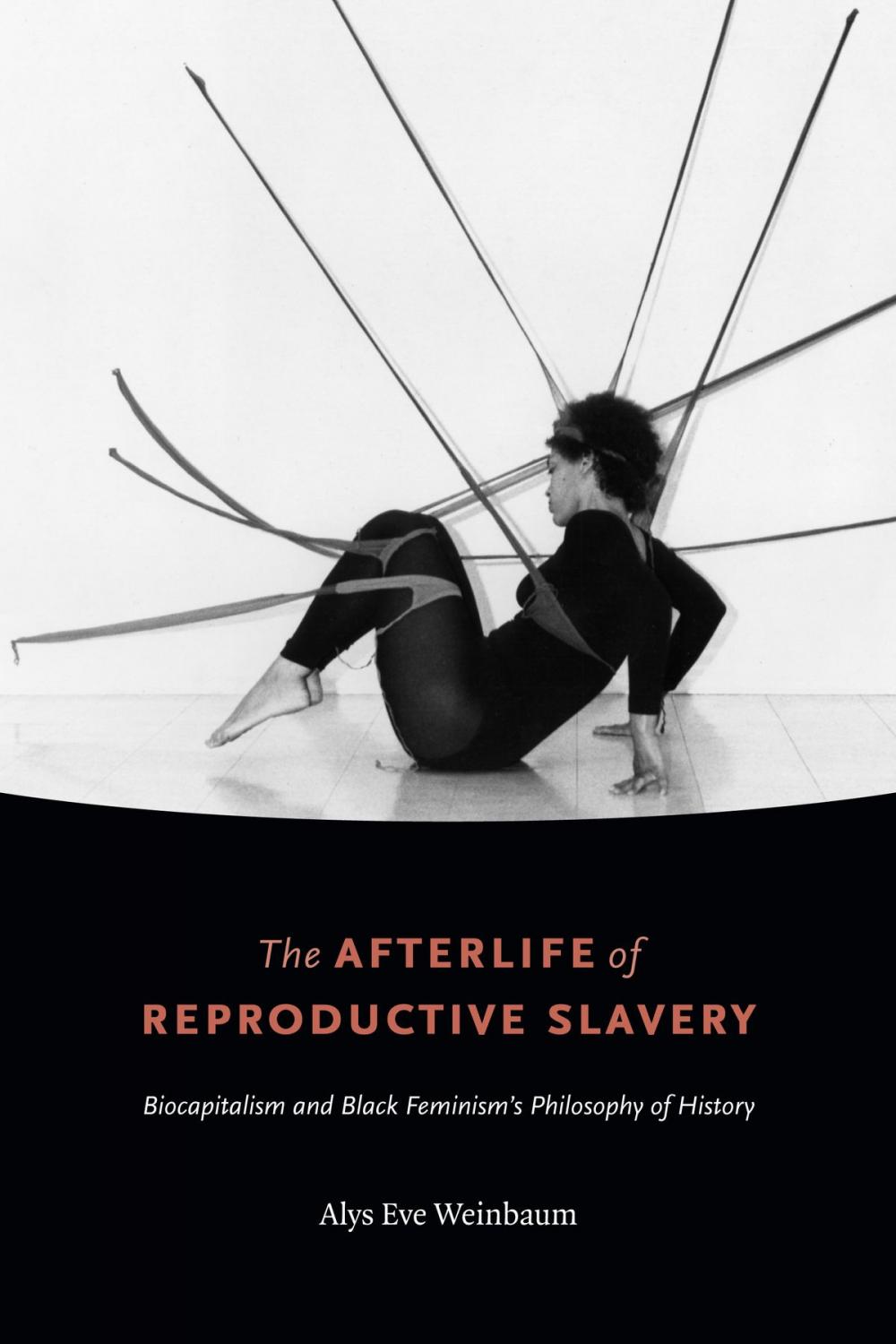 Big bigCover of The Afterlife of Reproductive Slavery