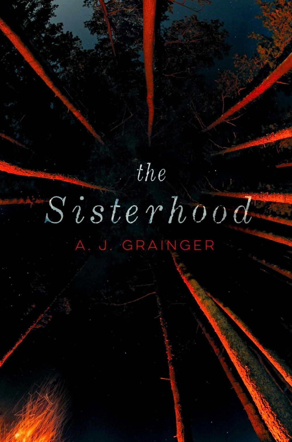 Big bigCover of The Sisterhood