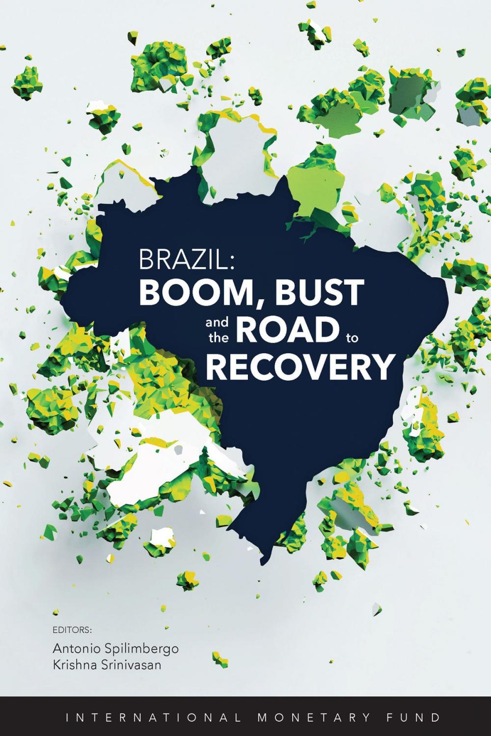 Big bigCover of Brazil