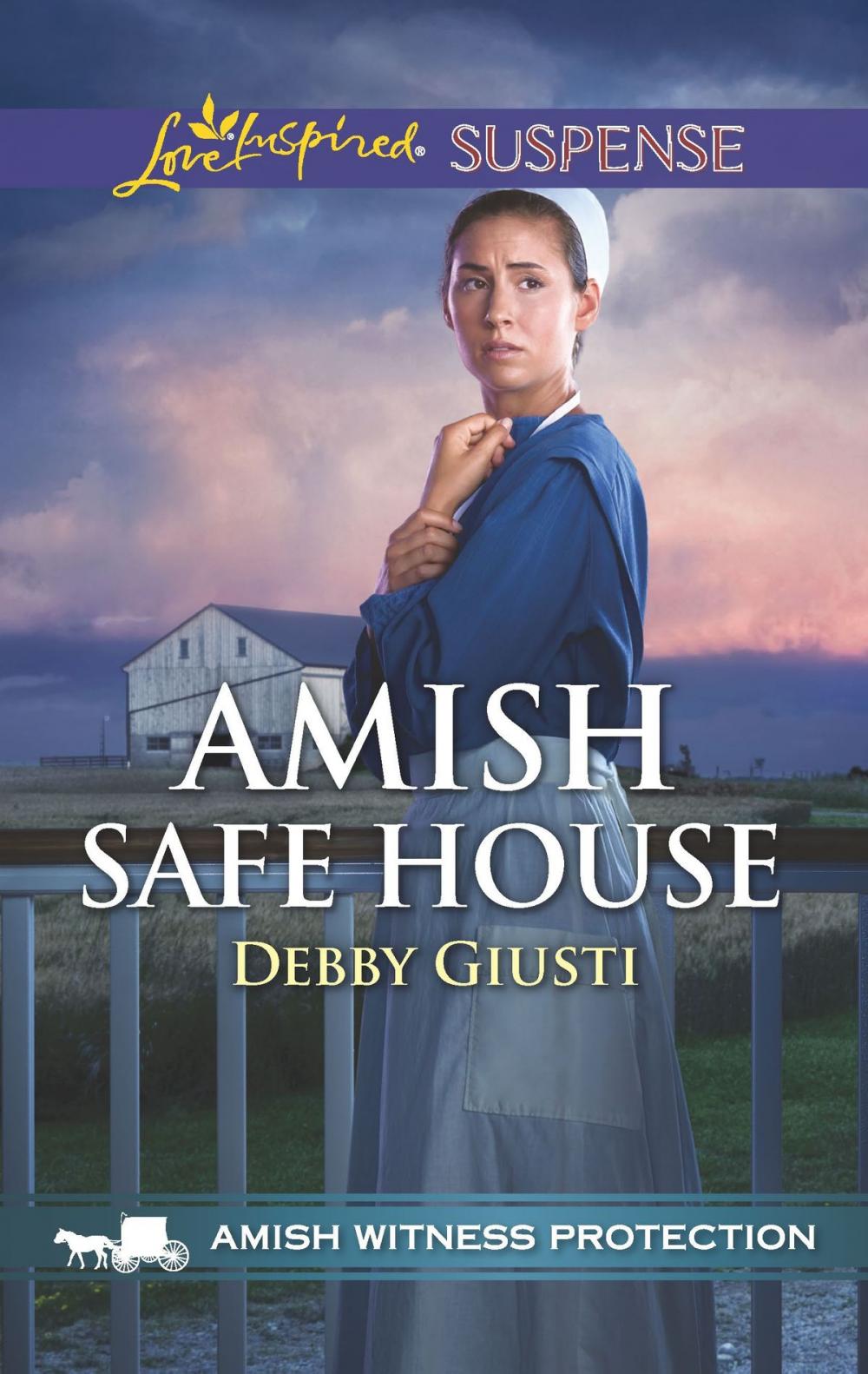 Big bigCover of Amish Safe House