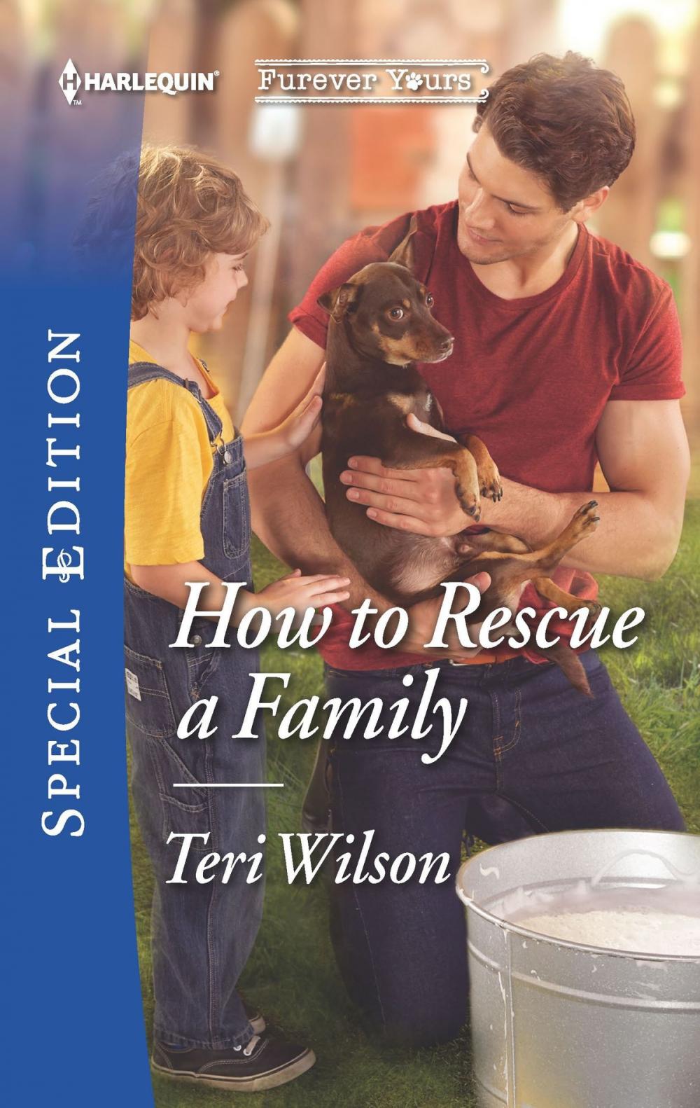 Big bigCover of How to Rescue a Family