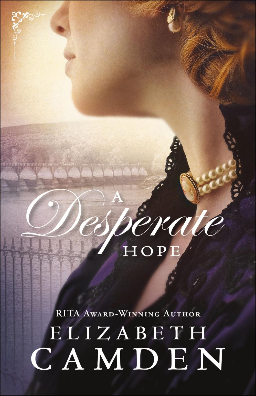 Big bigCover of A Desperate Hope (An Empire State Novel Book #3)