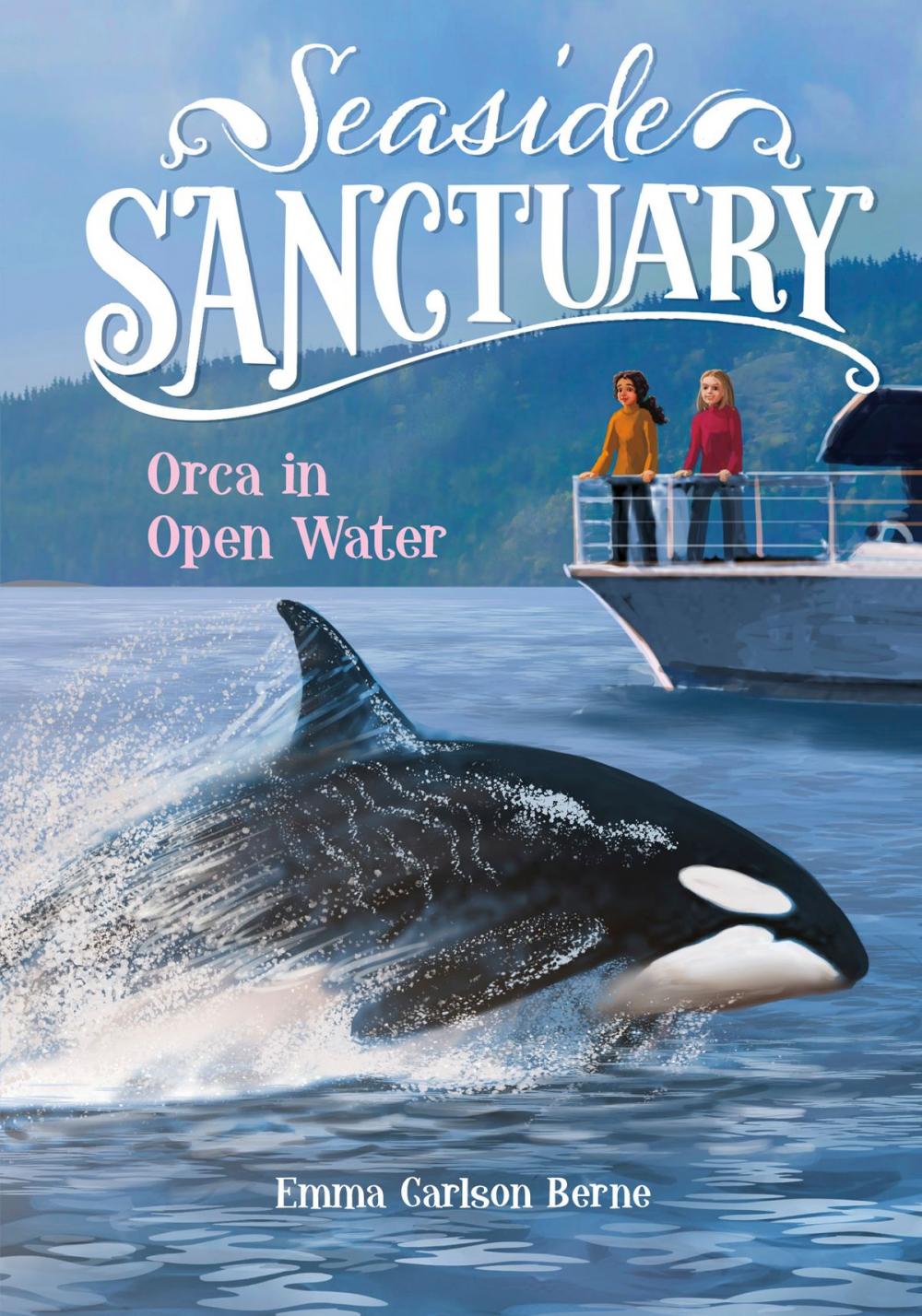 Big bigCover of Orca in Open Water