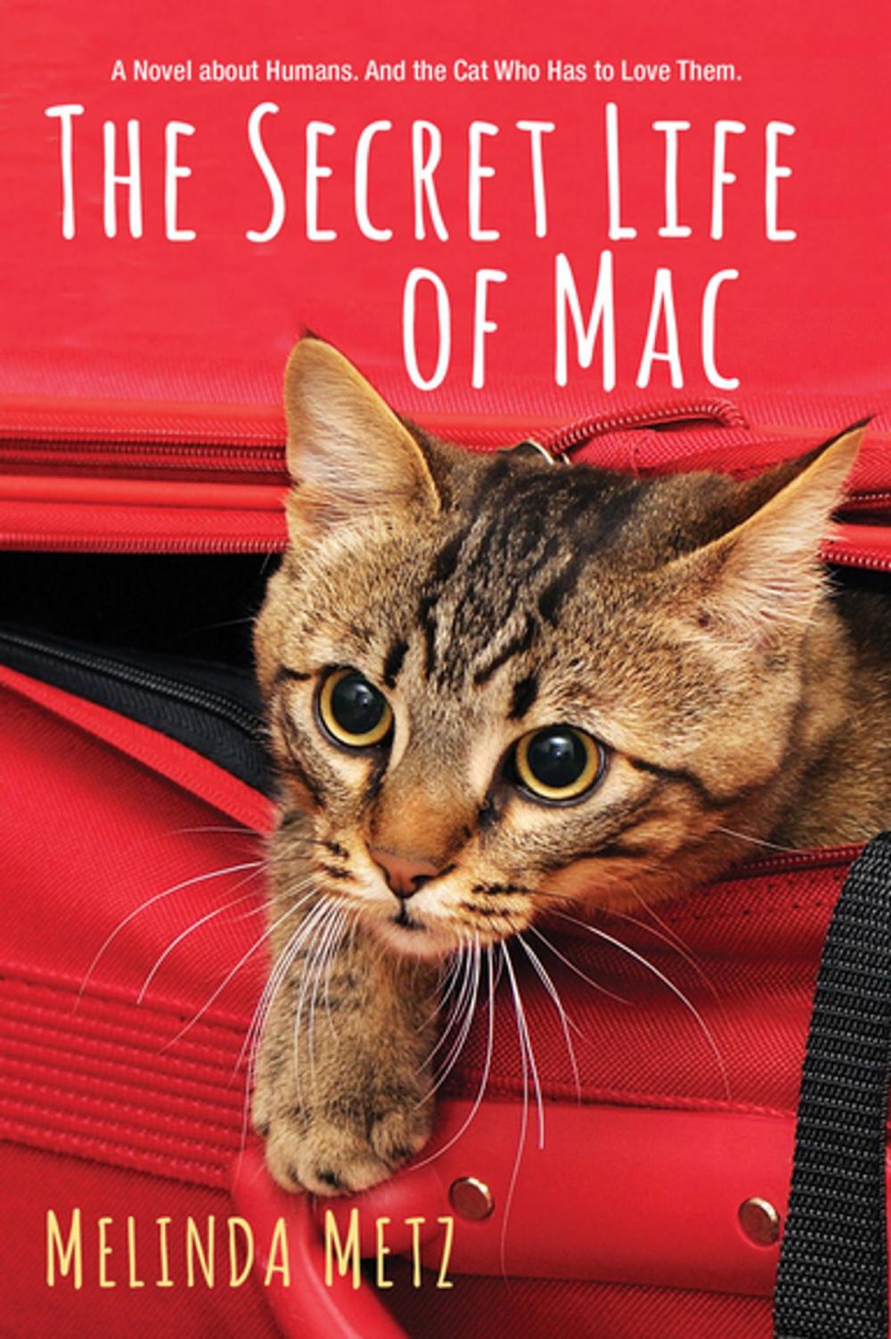 Big bigCover of The Secret Life of Mac