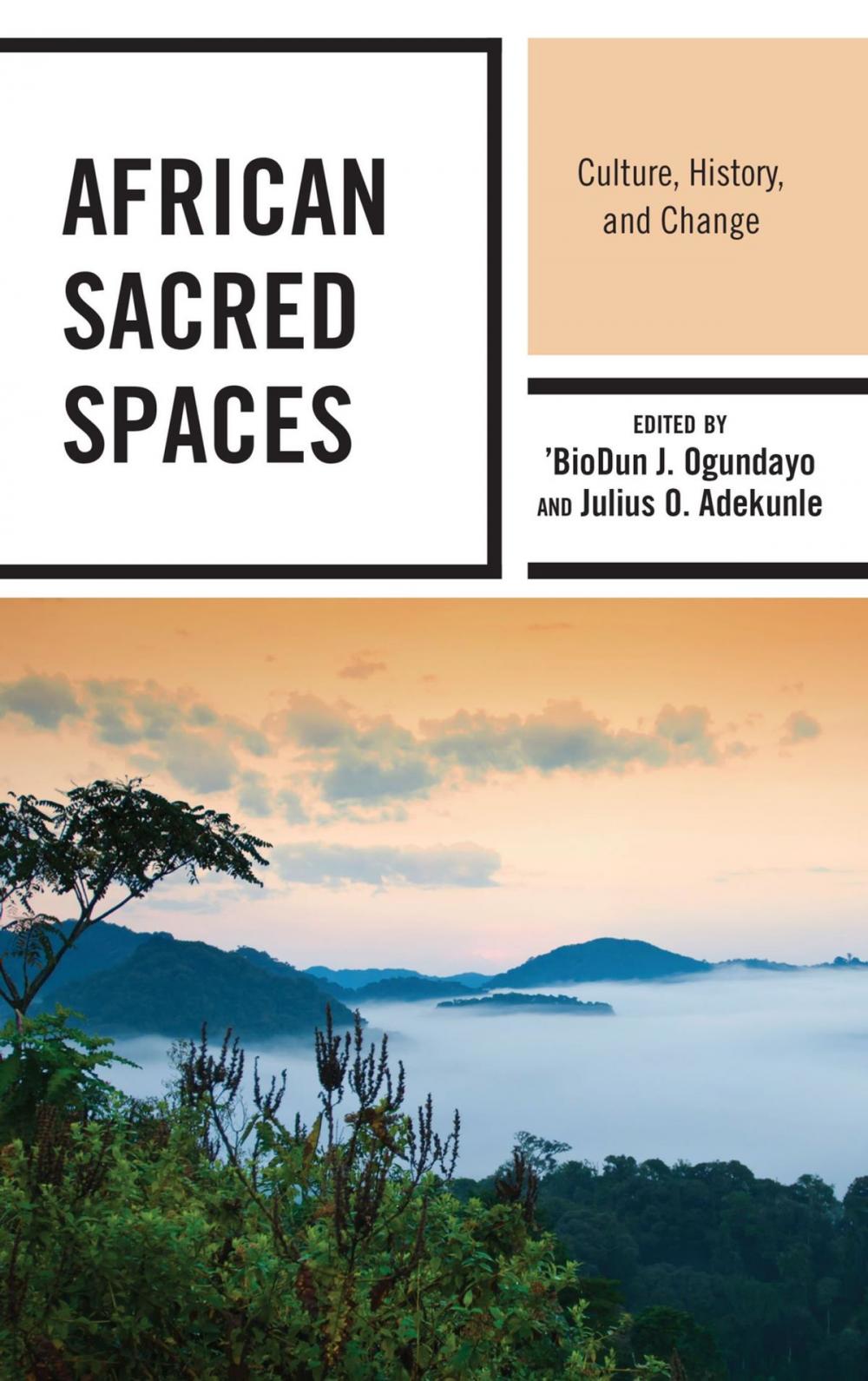 Big bigCover of African Sacred Spaces