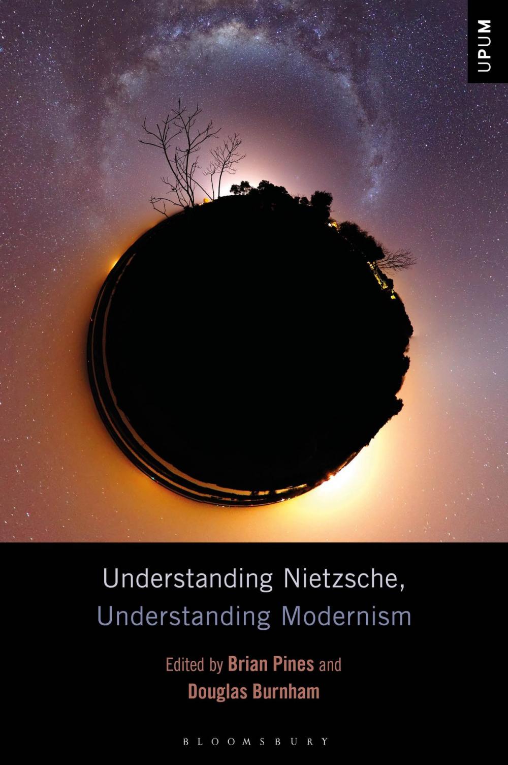 Big bigCover of Understanding Nietzsche, Understanding Modernism