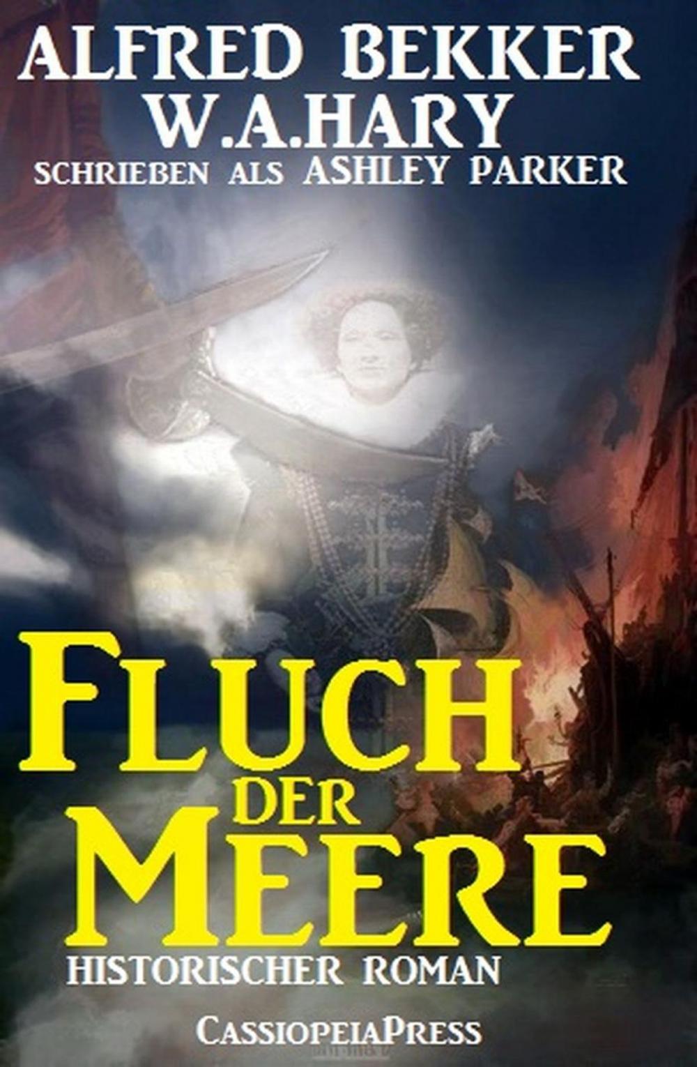 Big bigCover of Fluch der Meere