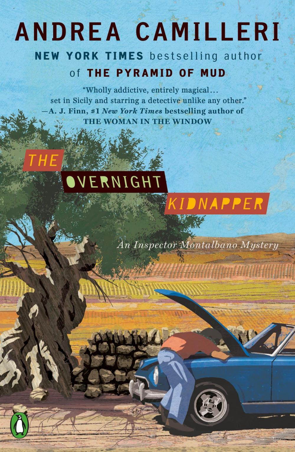 Big bigCover of The Overnight Kidnapper