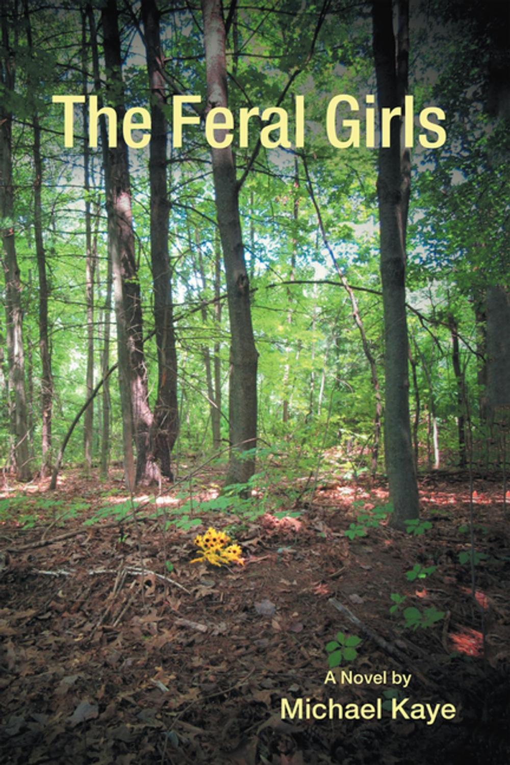 Big bigCover of The Feral Girls