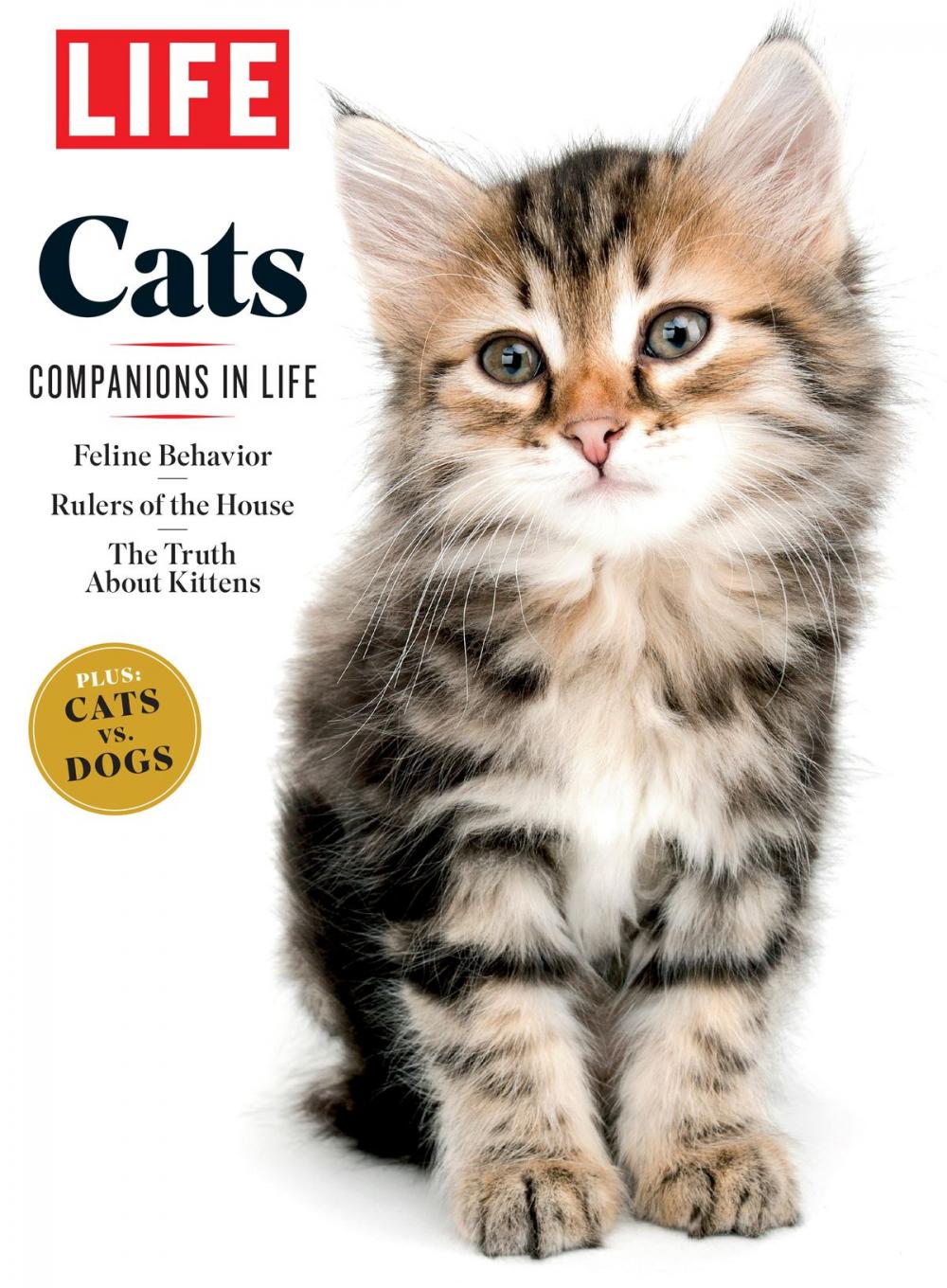 Big bigCover of LIFE Cats