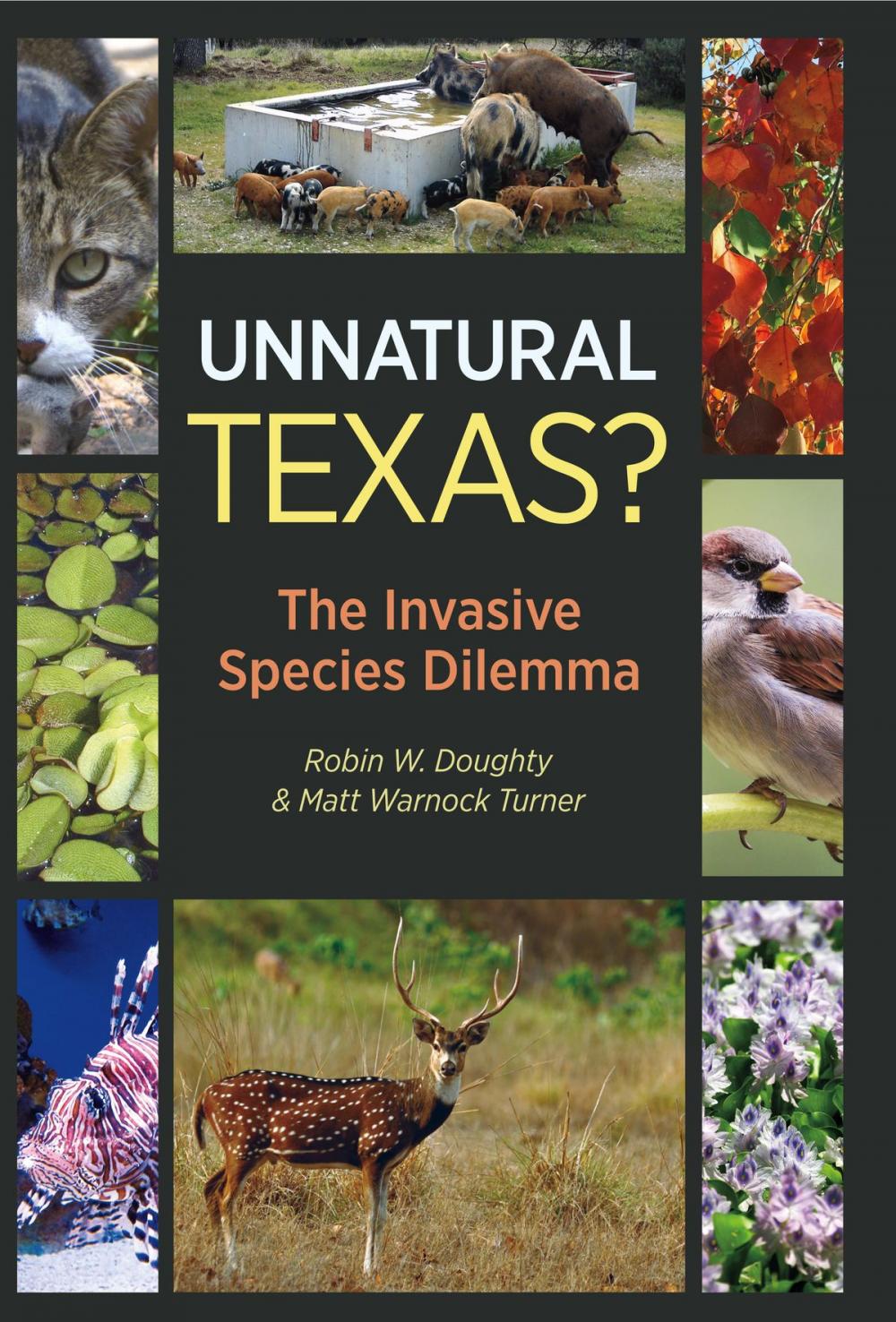 Big bigCover of Unnatural Texas?