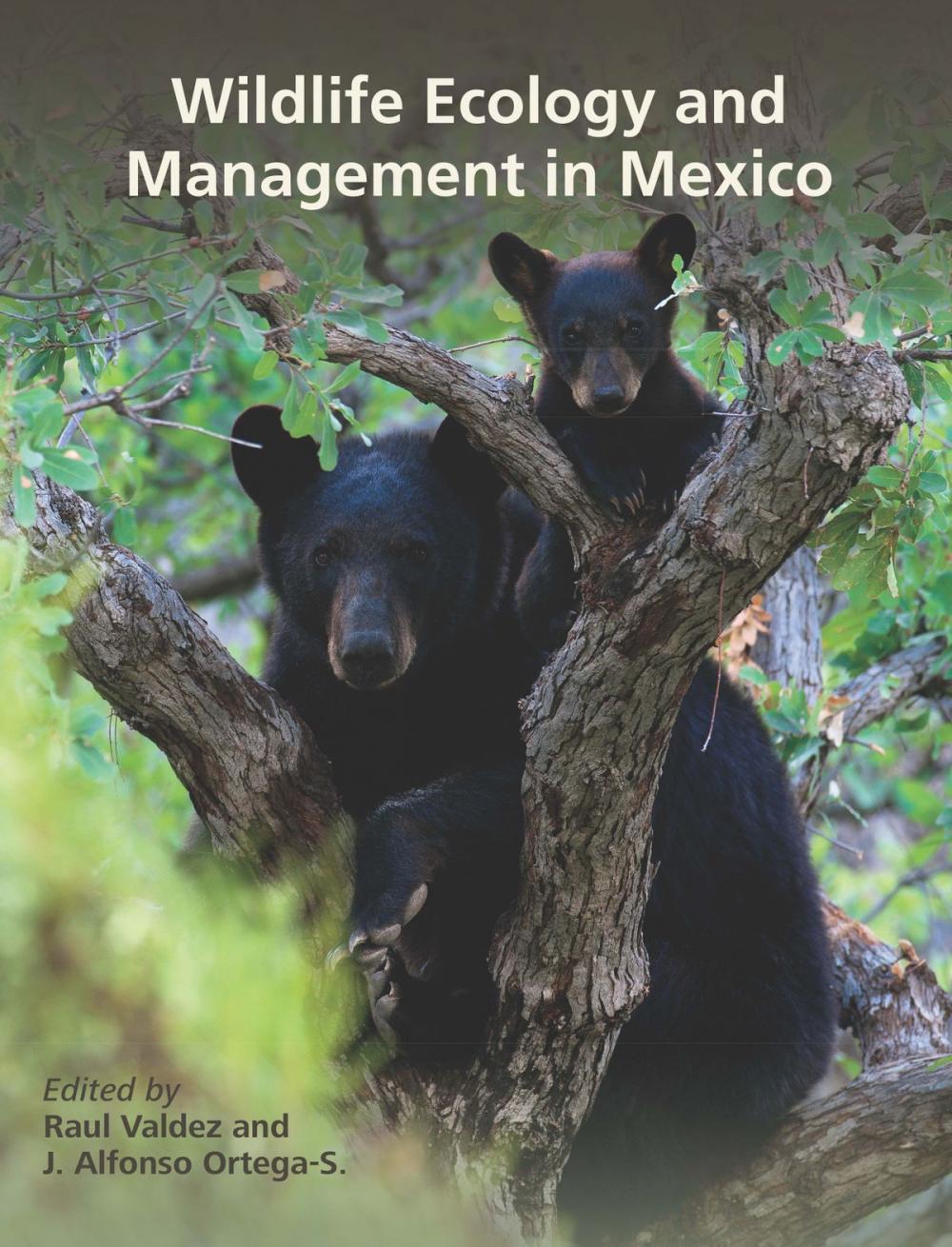 Big bigCover of Wildlife Ecology and Management in Mexico