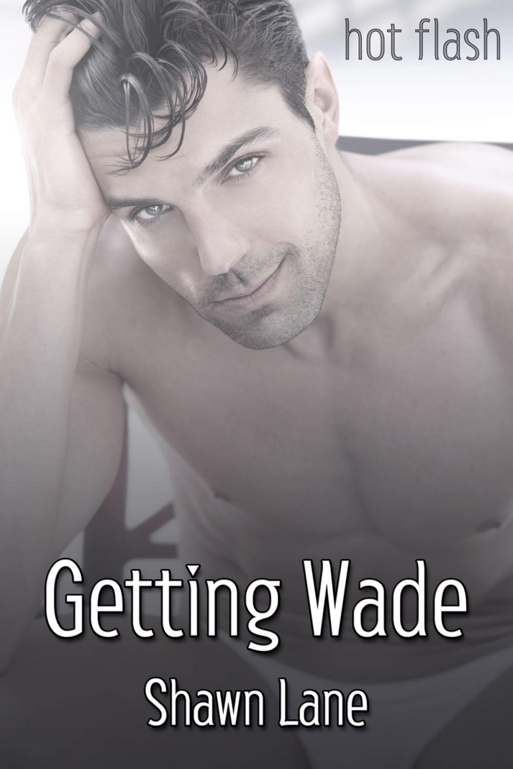 Big bigCover of Getting Wade