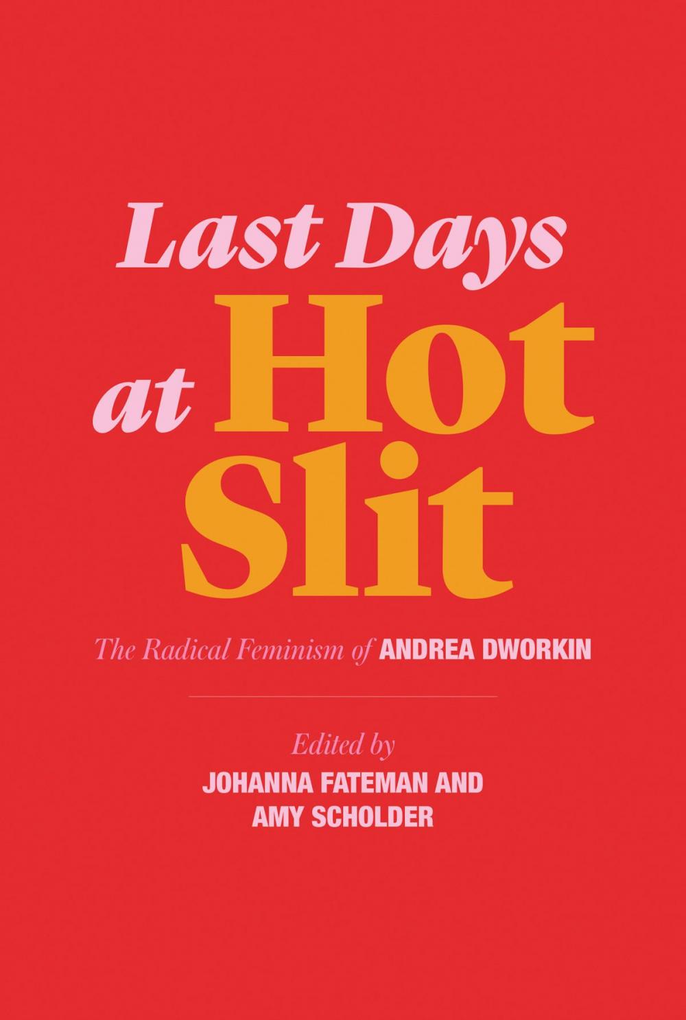 Big bigCover of Last Days at Hot Slit