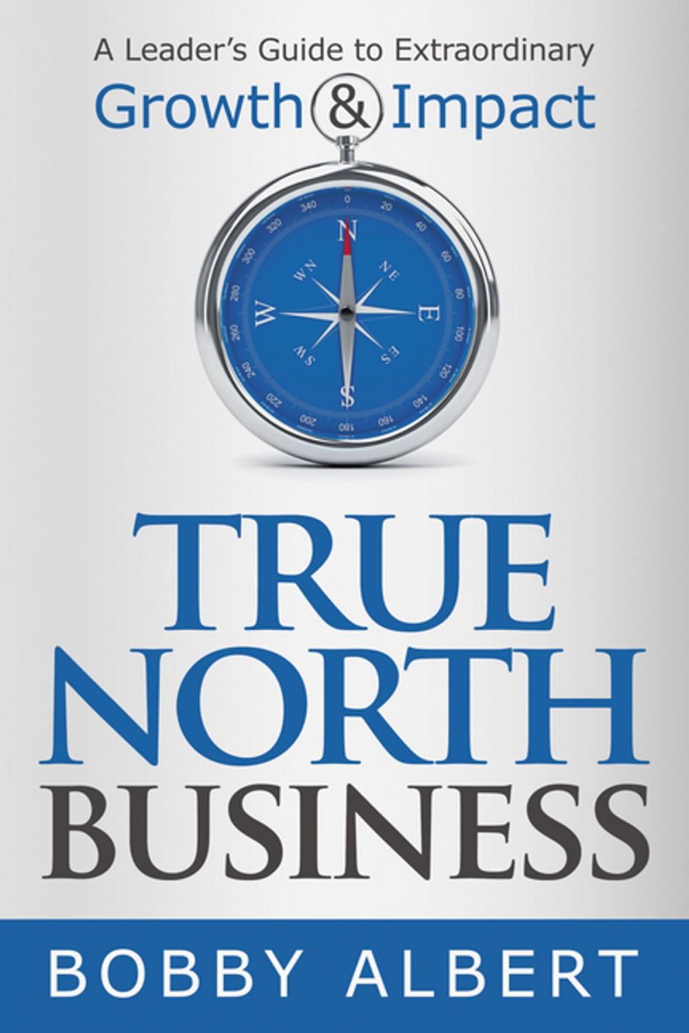 Big bigCover of True North Business