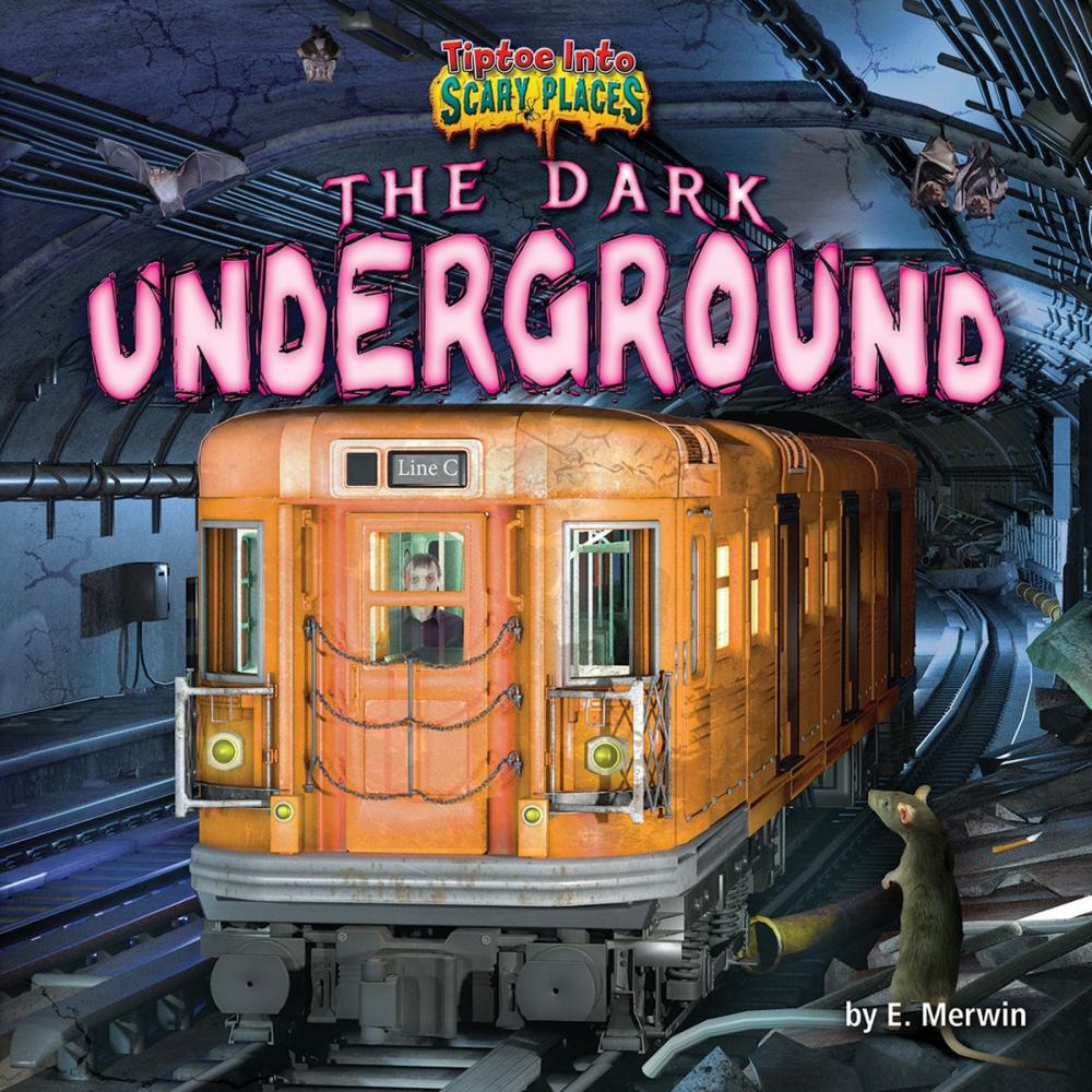 Big bigCover of The Dark Underground