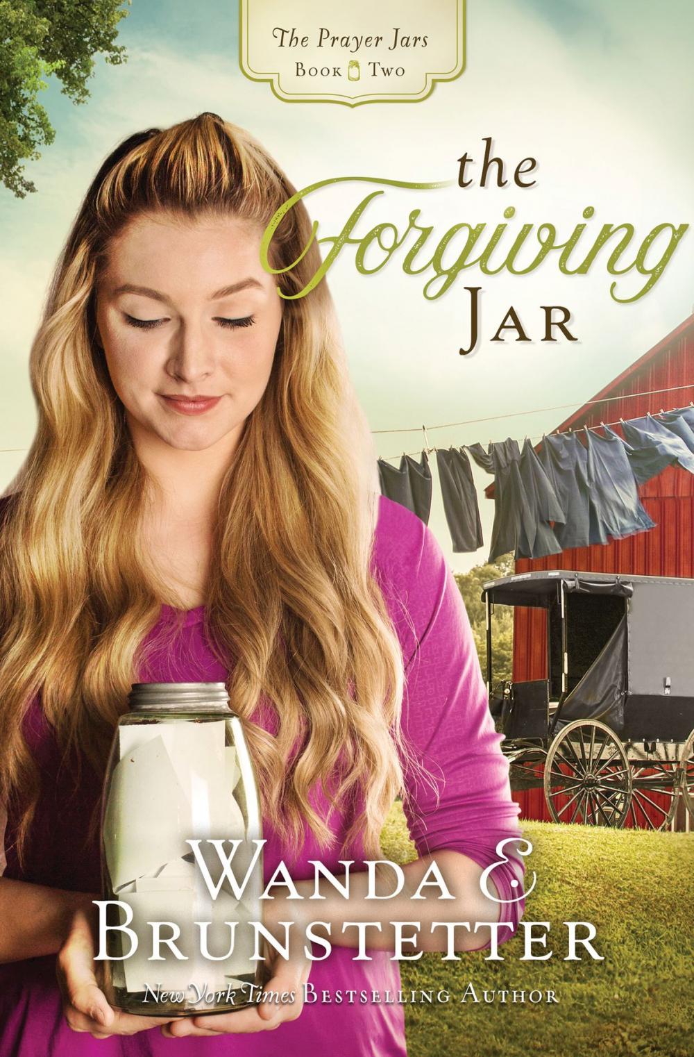 Big bigCover of The Forgiving Jar