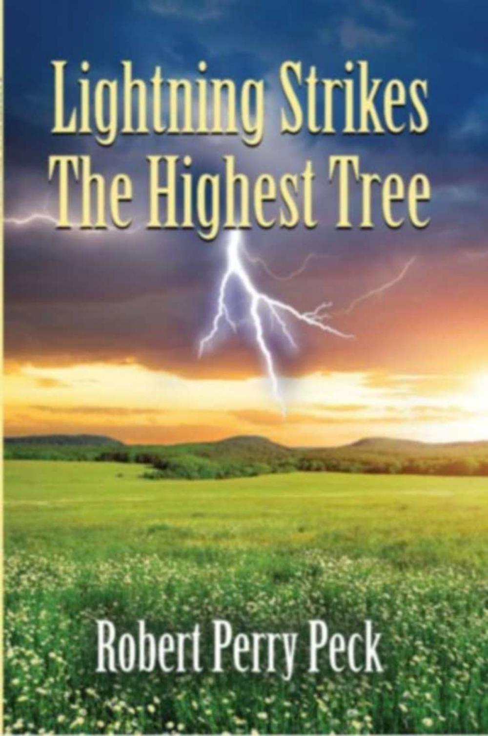 Big bigCover of Lightning Strikes The Highest Tree