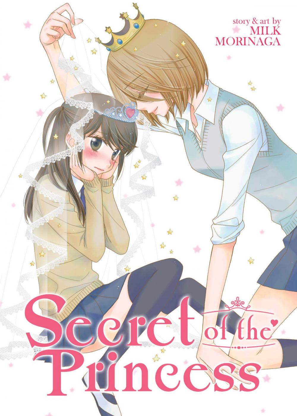 Big bigCover of Secret of the Princess