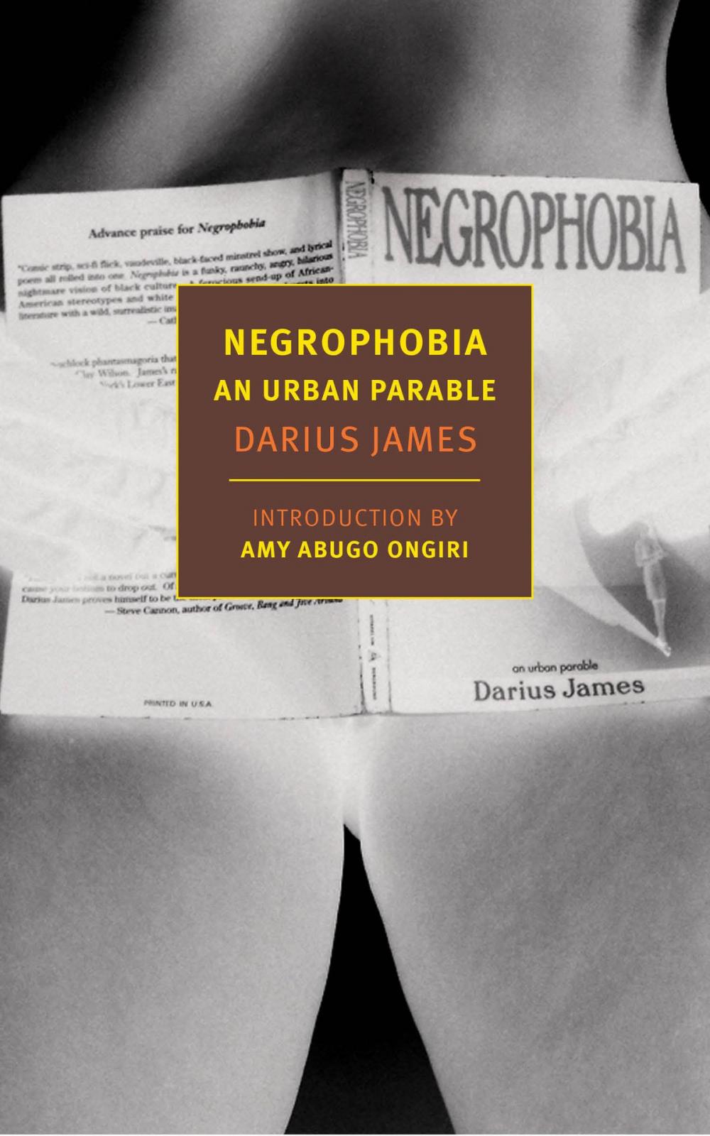 Big bigCover of Negrophobia