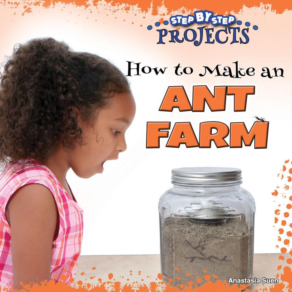 Big bigCover of How to Make an Ant Farm