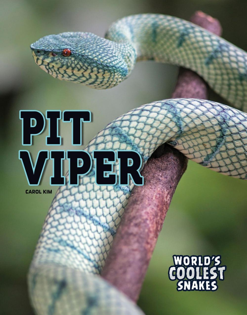 Big bigCover of Pit Viper