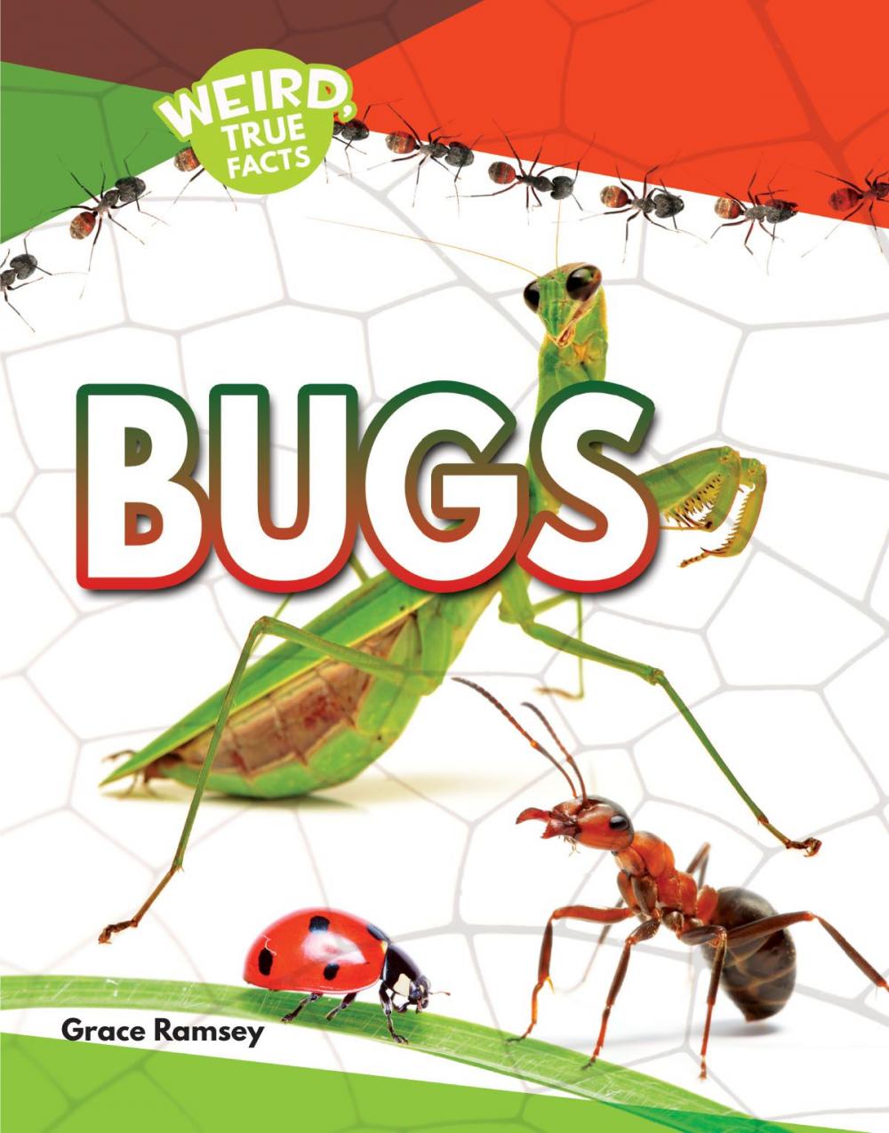 Big bigCover of Bugs