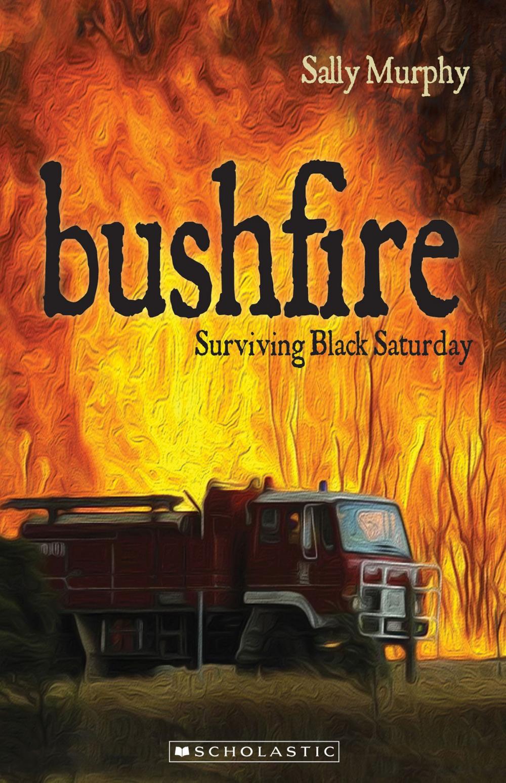 Big bigCover of Bushfire