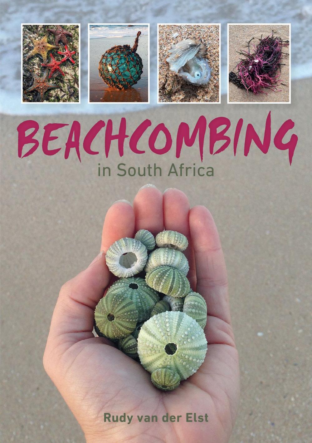 Big bigCover of Beachcombing in South Africa