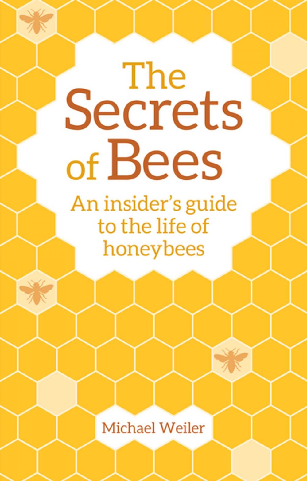 Big bigCover of The Secrets of Bees