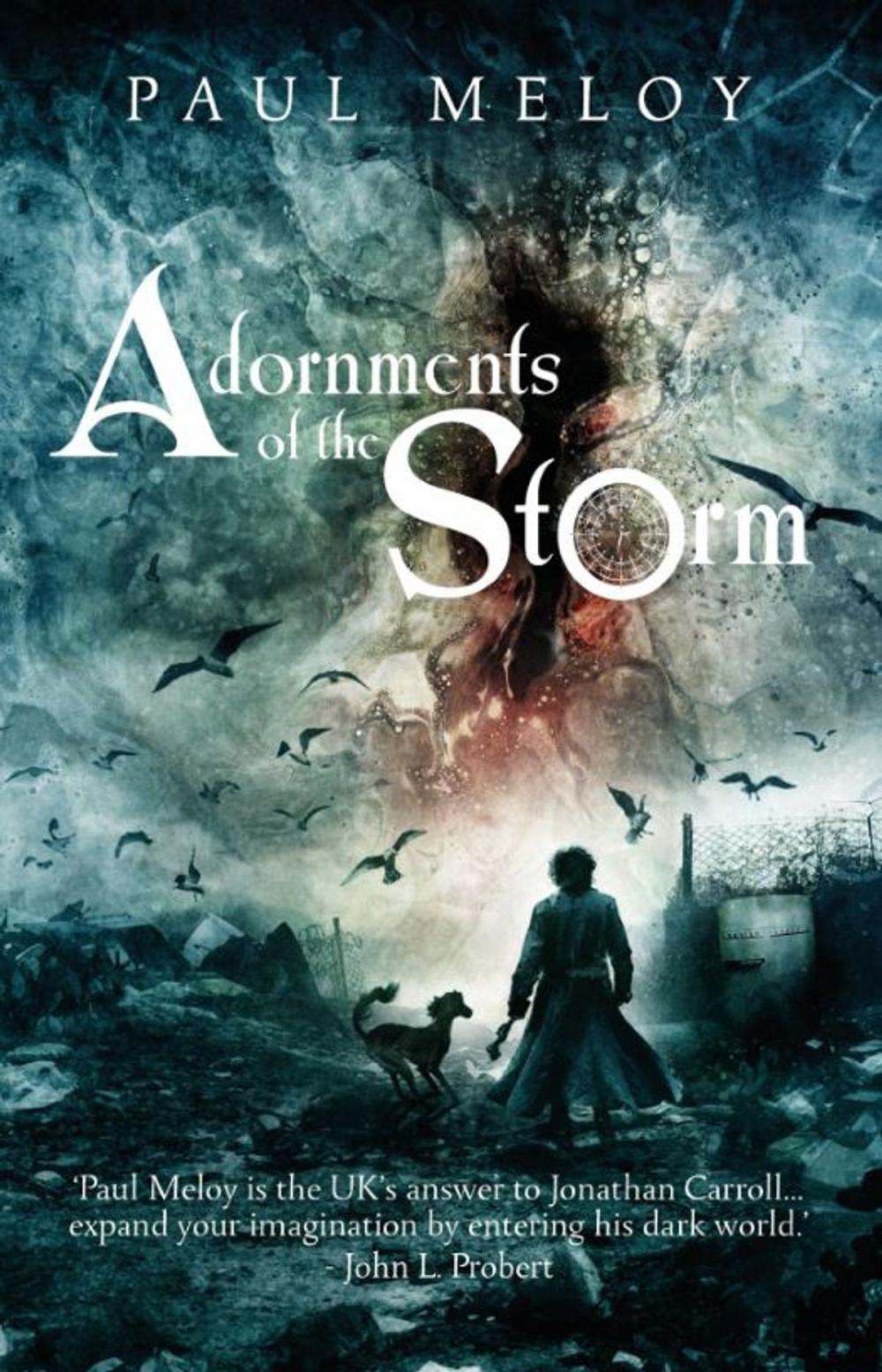 Big bigCover of Adornments of the Storm