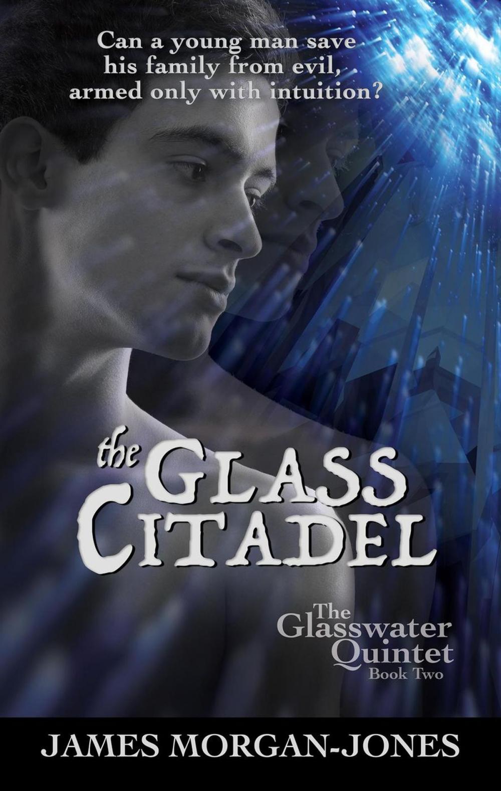 Big bigCover of The Glass Citadel