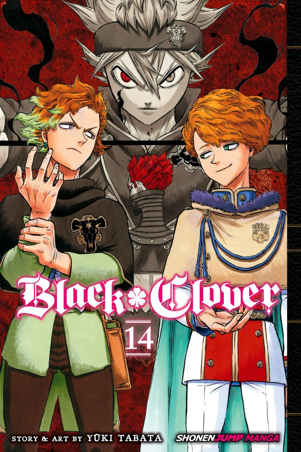 Big bigCover of Black Clover, Vol. 14