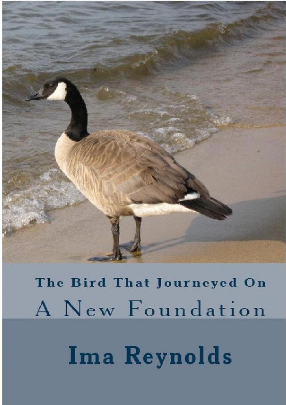 Big bigCover of The Bird That Journeyed On A New Foundation