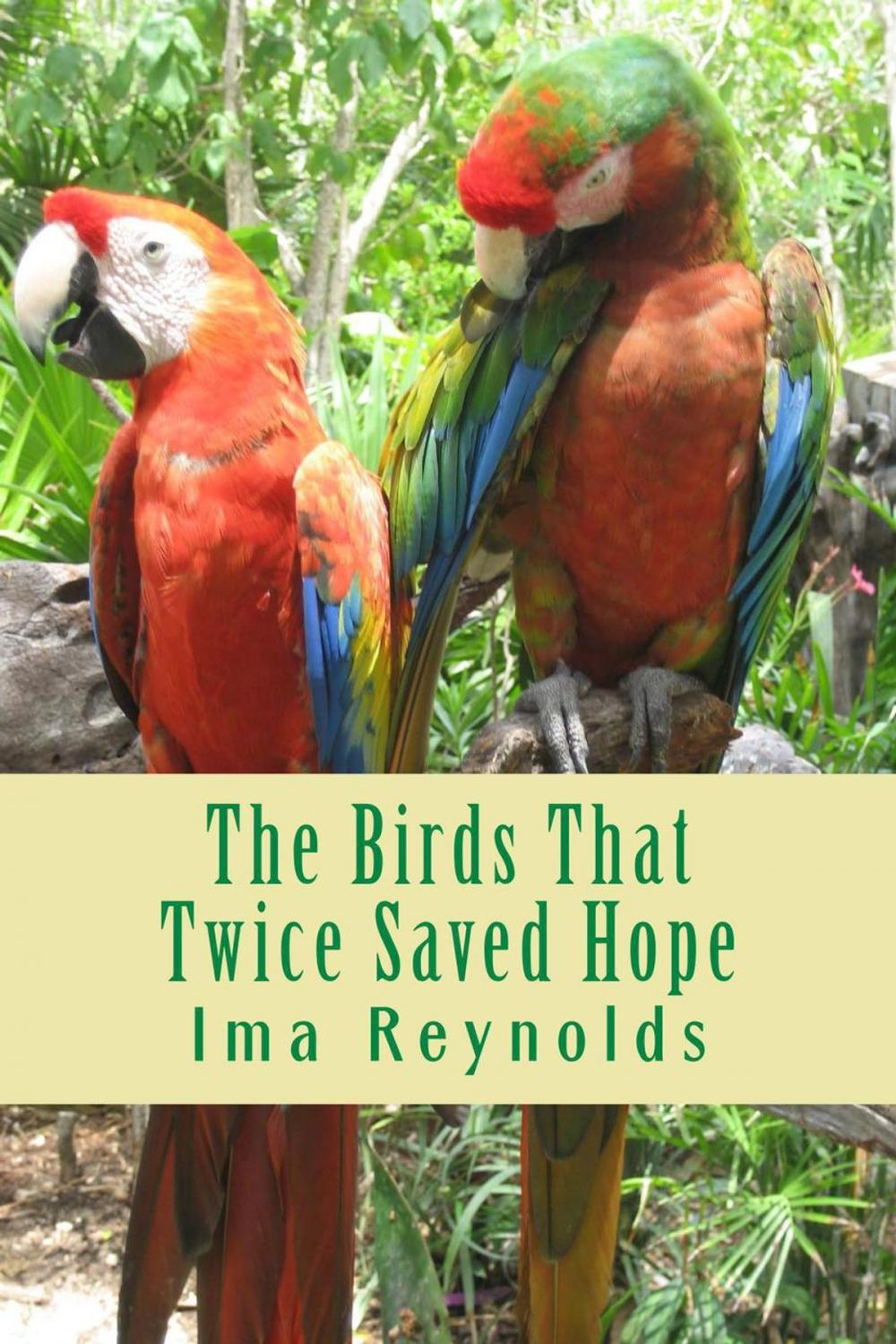 Big bigCover of The Birds That Twice Saved Hope