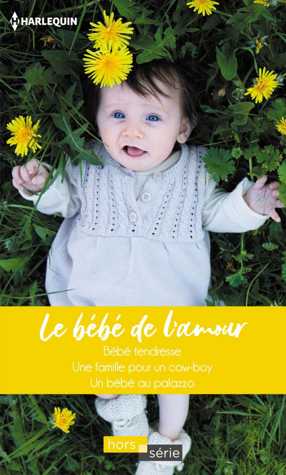 Big bigCover of Le bébé de l'amour